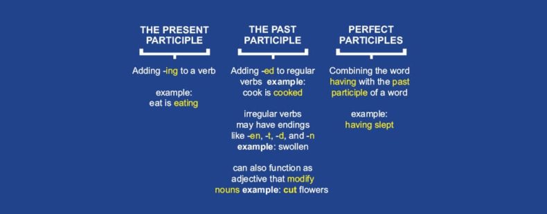 what-are-participles-and-how-do-you-use-them-thesaurus