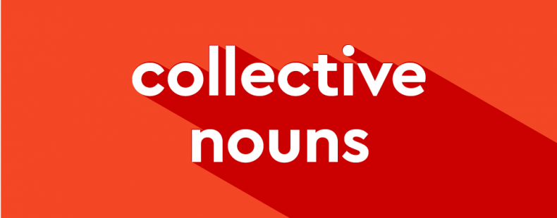 the-ultimate-guide-to-collective-nouns-in-english-everything-you-need