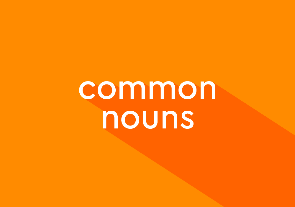 What Is A Common Noun Thesaurus