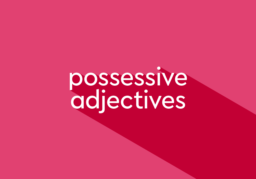 What Is A Possessive Adjective Thesaurus