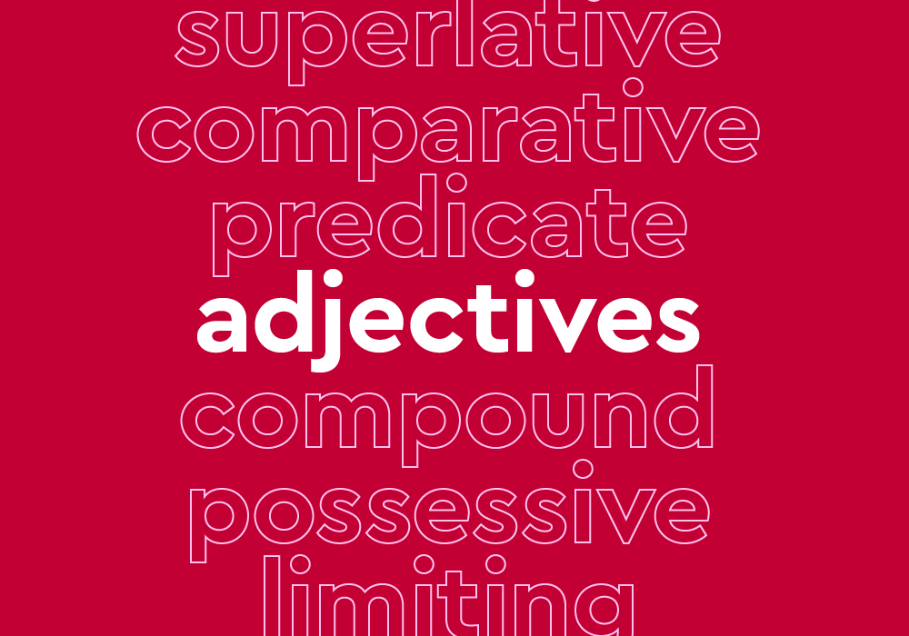 Possessive Adjective and Possessive…: English ESL worksheets pdf & doc