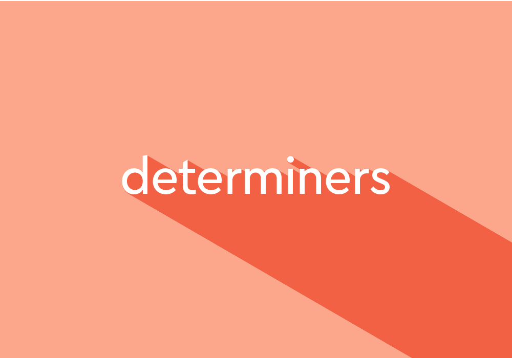 What Is A Determiner Thesaurus Com